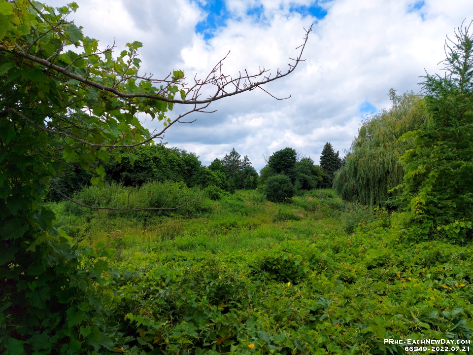 66349CrLeUsm - Looking across Miller's Creek, about where the Beaver dam is